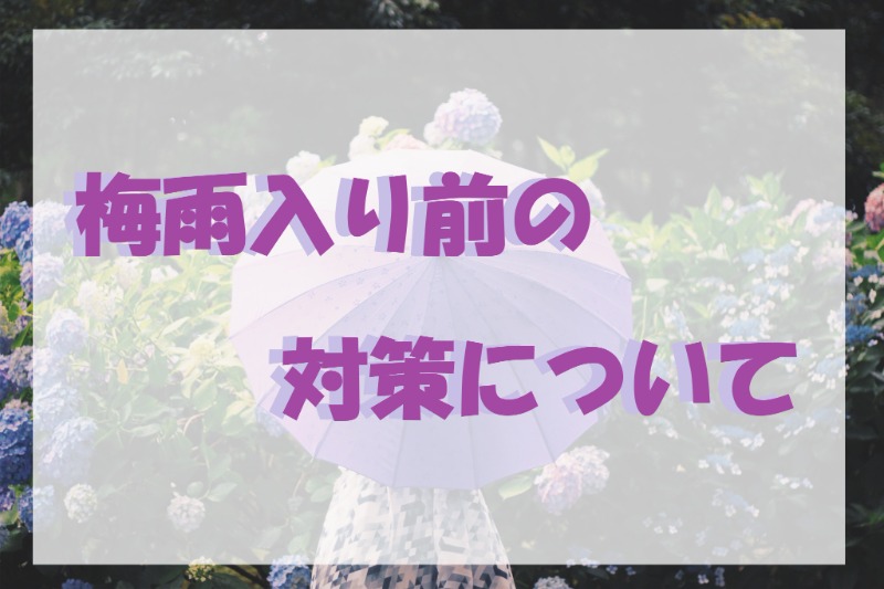 梅雨　サムネ
